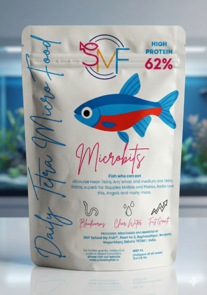 mini radiant creamy concealer and blush