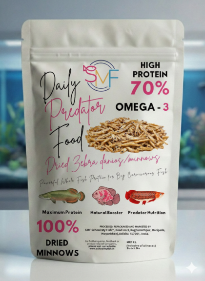 DAILY PREDATOR FOOD : 70% PROTIEN Nutrient Bomb